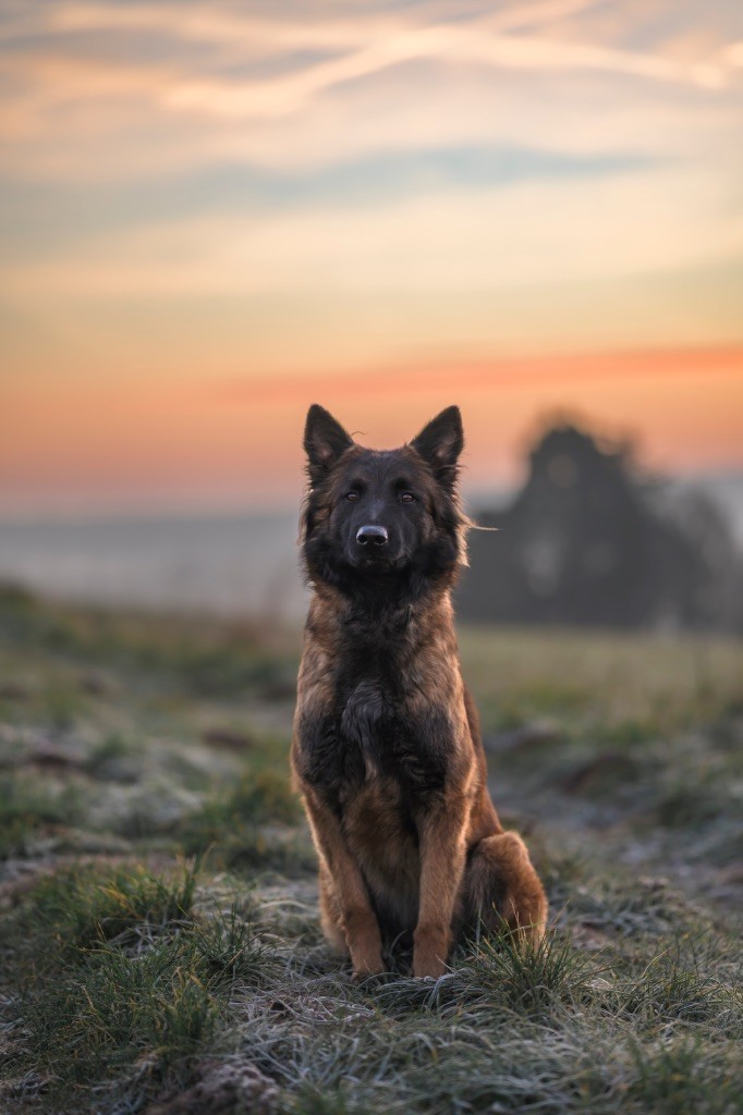 S kiss dite s-kive des mystères de Teotihuacan
