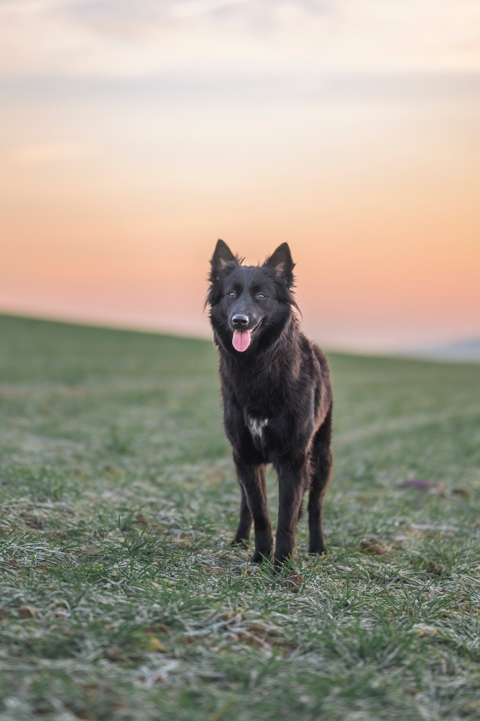 Um-pact imminent Des Abîmes Ardents